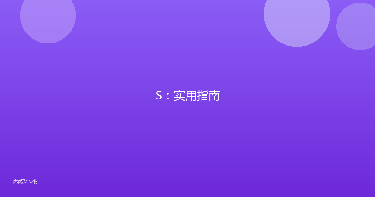 S：实用指南