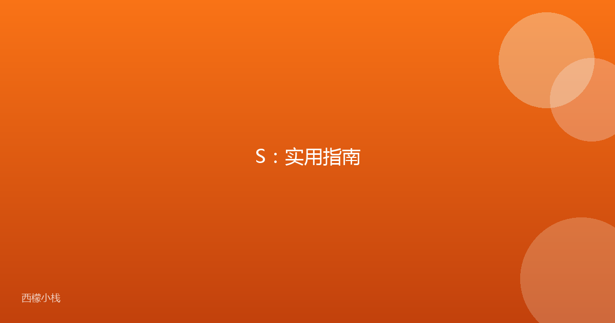 S：实用指南
