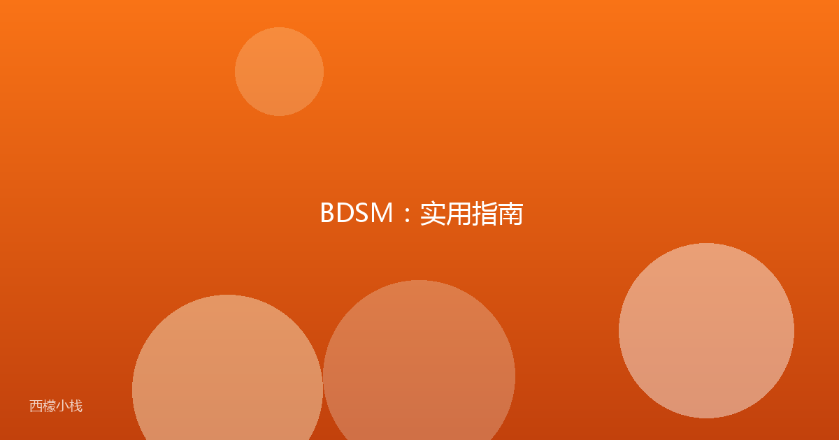 BDSM：实用指南