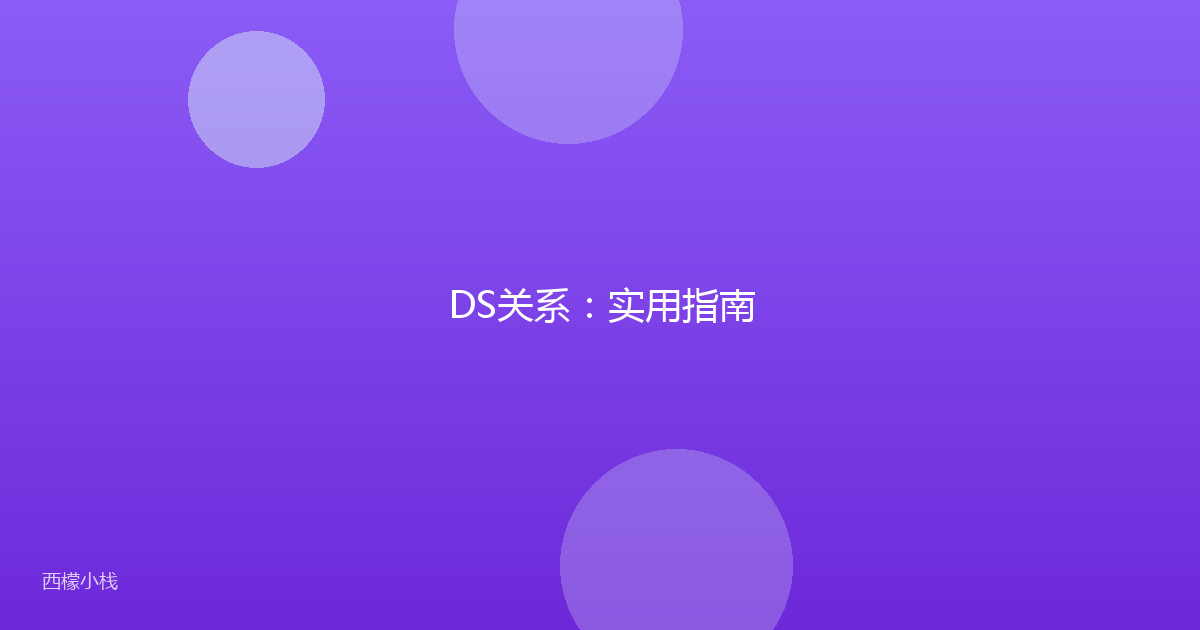 DS关系：实用指南