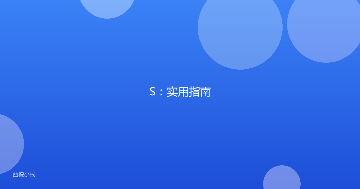 S：实用指南