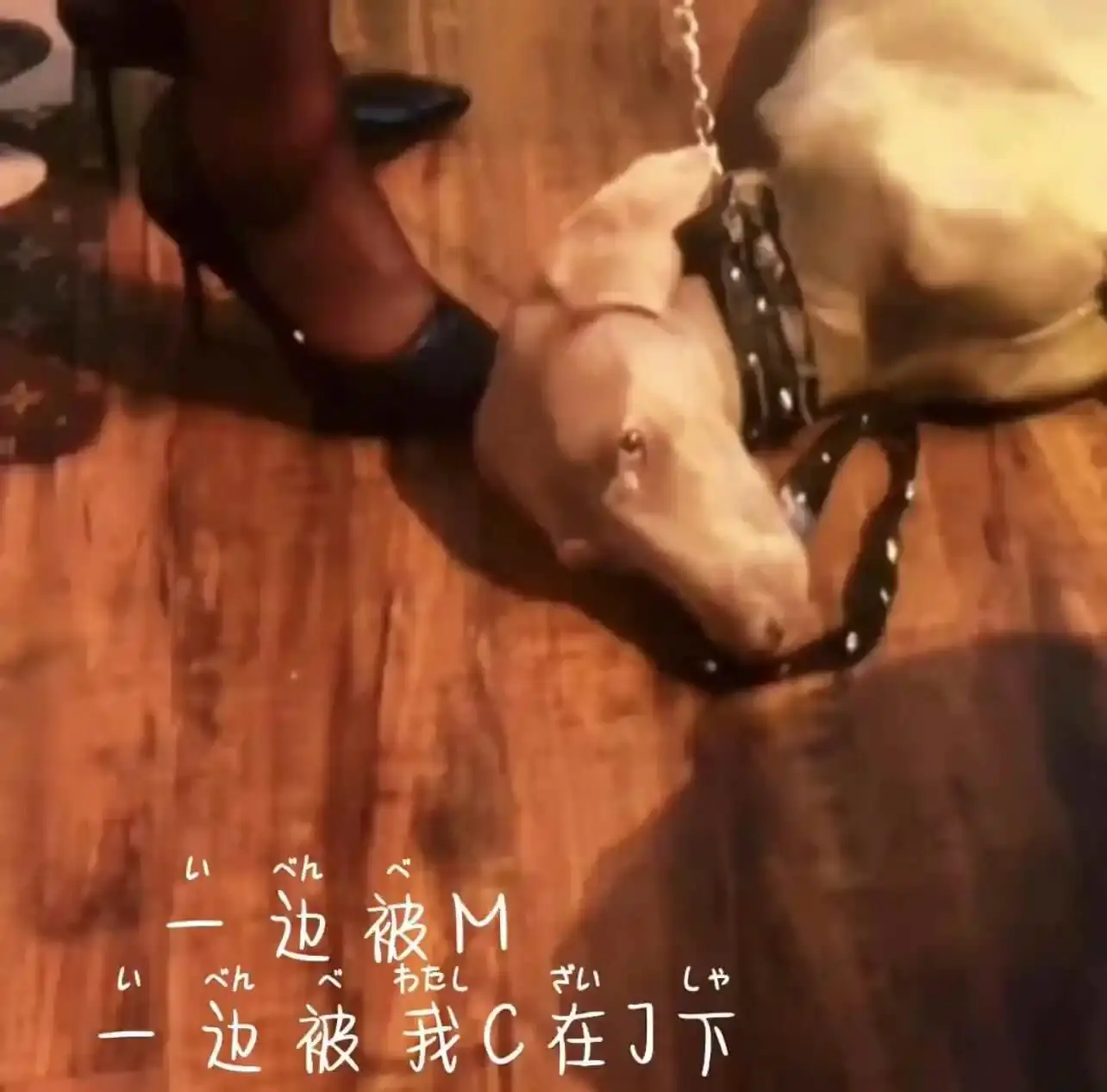 【西檬之家-字母圈中tickle的含义与实践】