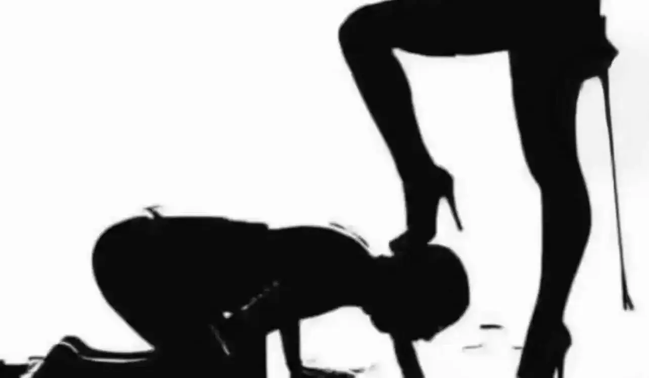 【西檬之家】BDSM基础知识指南：字母圈新人入门