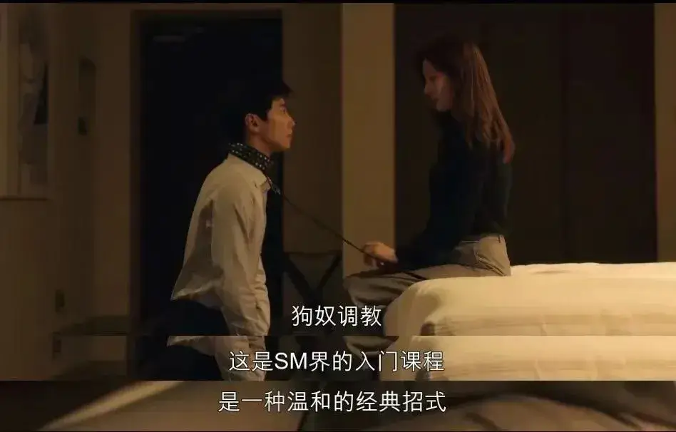 西檬之家-字母圈S倾向实践指南

SEO_title