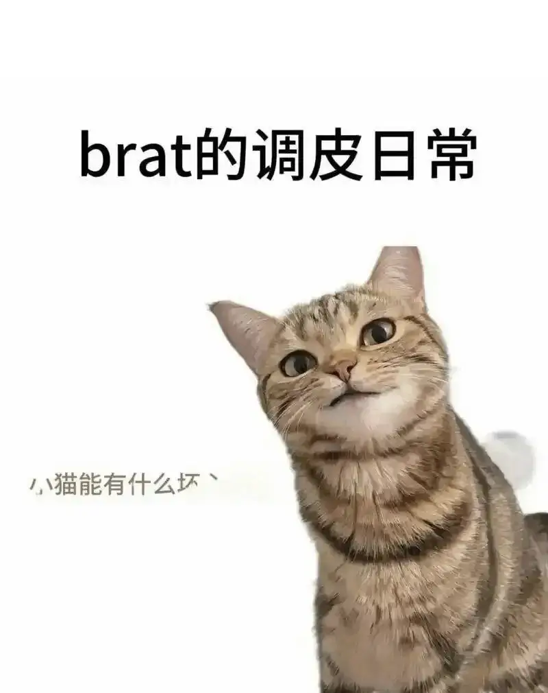 西棬风一家-DS用关范的整数丰感淼解钮