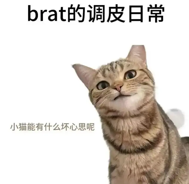西檬之家-字母圈深度解析：DS关系入门指南