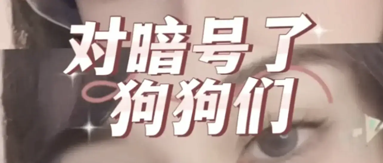 西檬之家-字母圈的Brat属性解析