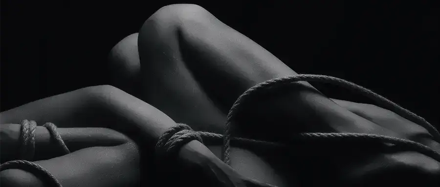 西檬之家-BDSM字母圈新人入圈指南