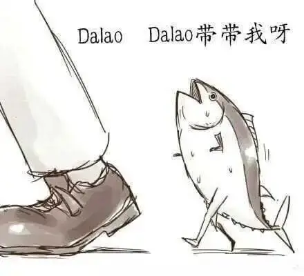 西檬之家-字母圈的DT是什么意思？