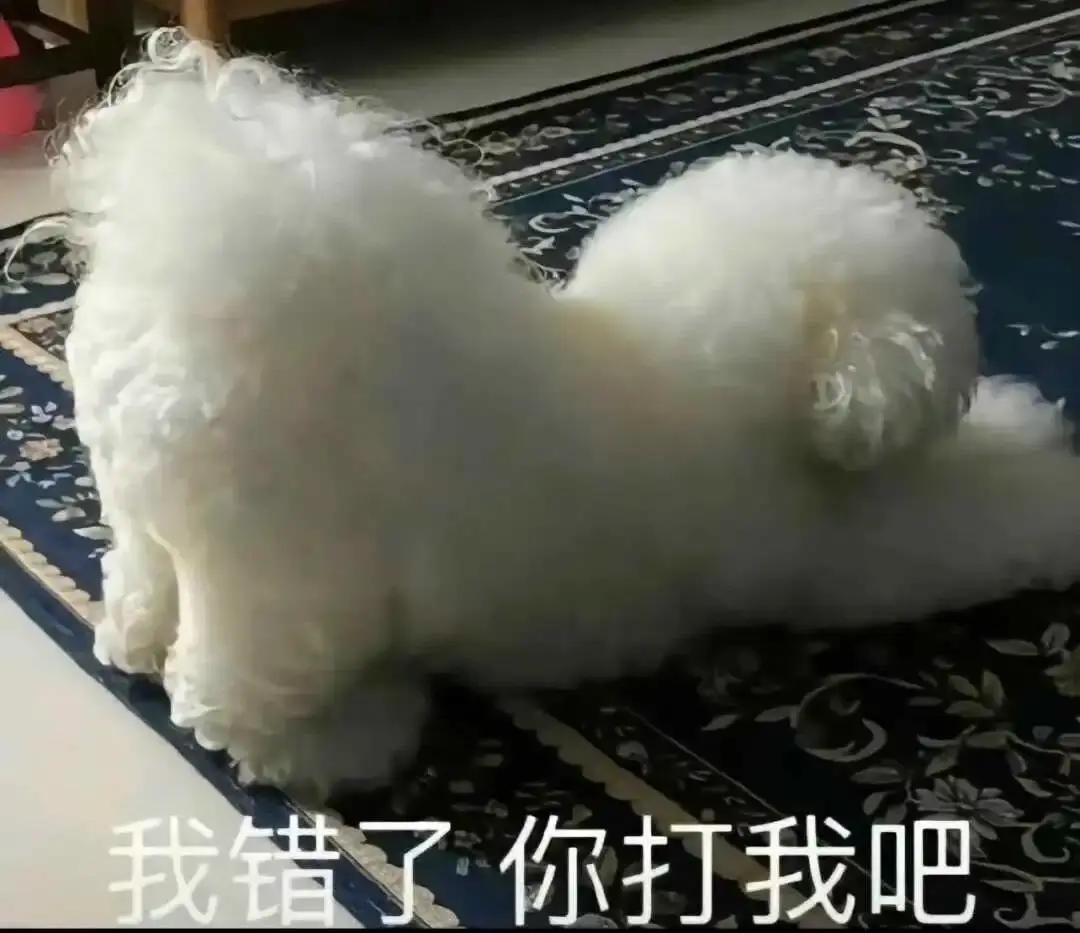 西檬之家-Sub是什么？字母圈新人入圈