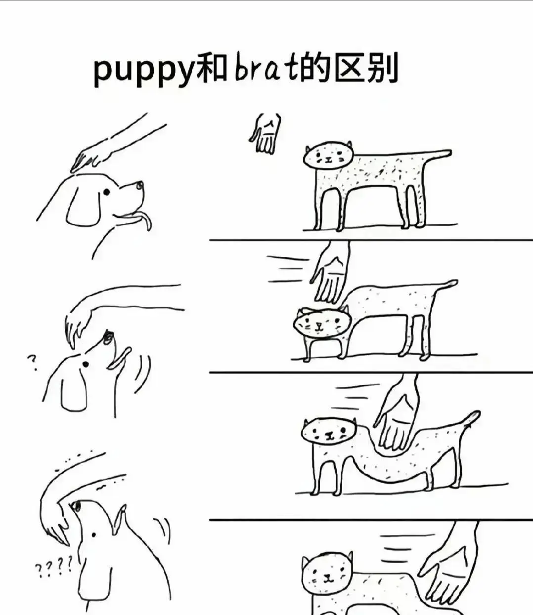 西檬之家-字母圈的DOM是什么意思？