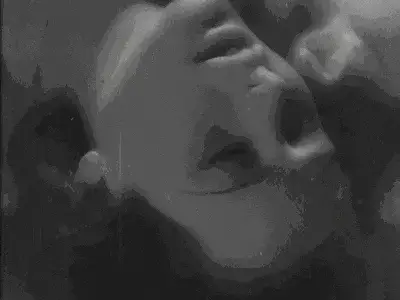 西檬之家- CDDLG是什么？新人如何理解字母圈